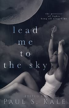 Lead Me To The Sky book cover